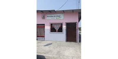 RETOÑITOS DE JESUS I