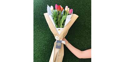 TULIPANES