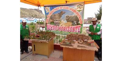 ULLAGACHI COCHAPATA