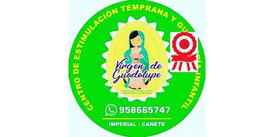 VIRGEN DE GUADALUPE
