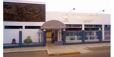 BELLAS ARTES MACEDONIO DE LA TORRE