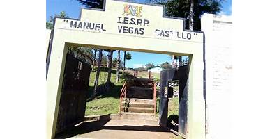 MANUEL VEGAS CASTILLO