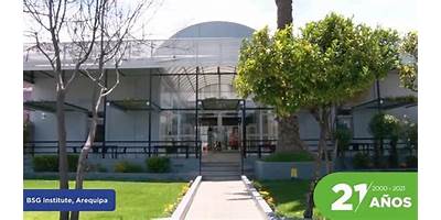 BSG INSTITUTE