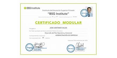 BSG INSTITUTE