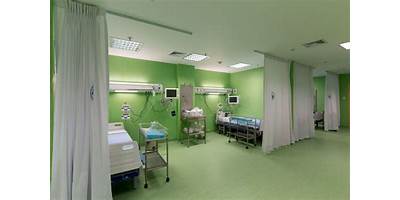 DE SALUD ALBERTO BARTON THOMPSOM