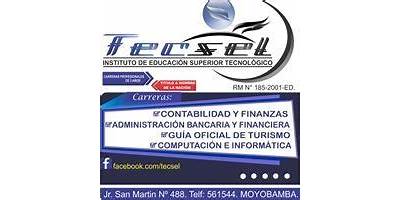 TECSEL