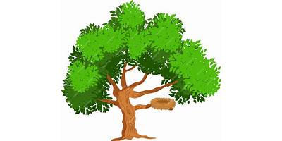 ARBOL DE COLORES