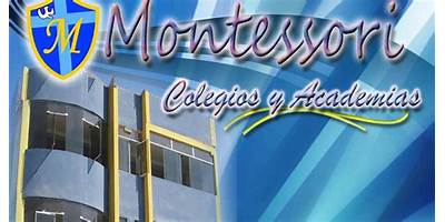 COLEGIOS Y ACADEMIAS MONTESSORI EIR