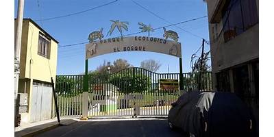 EL BOSQUE