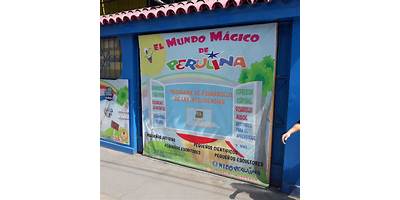 EL MUNDO MAGICO DE ANY