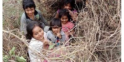 NIÑOS DE DIOS