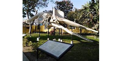 SAN MARCOS